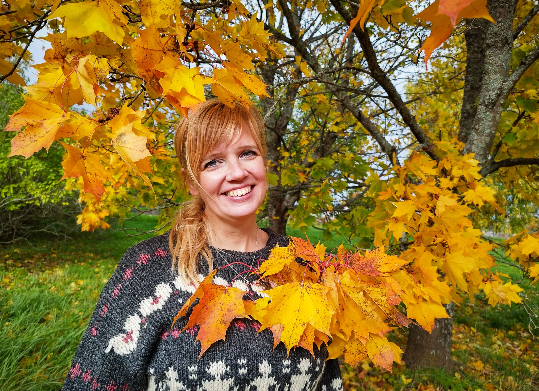 Luodaan sopimusyhteiskunta uudelleen